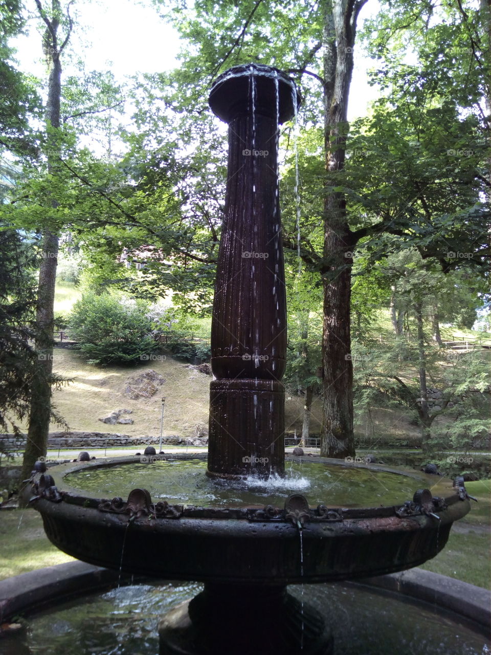 Schwarzwald in Bad Wildbad