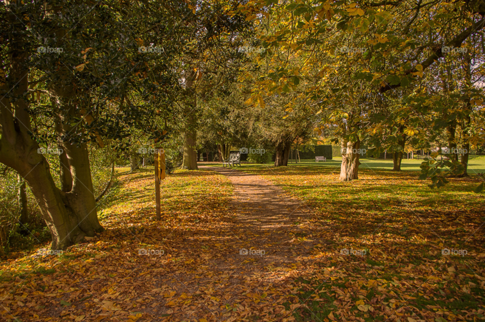 red weather autumn brown by gaillewisbraznell