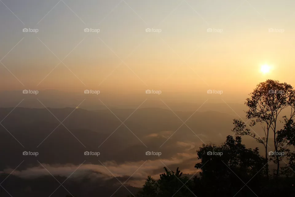 Sky