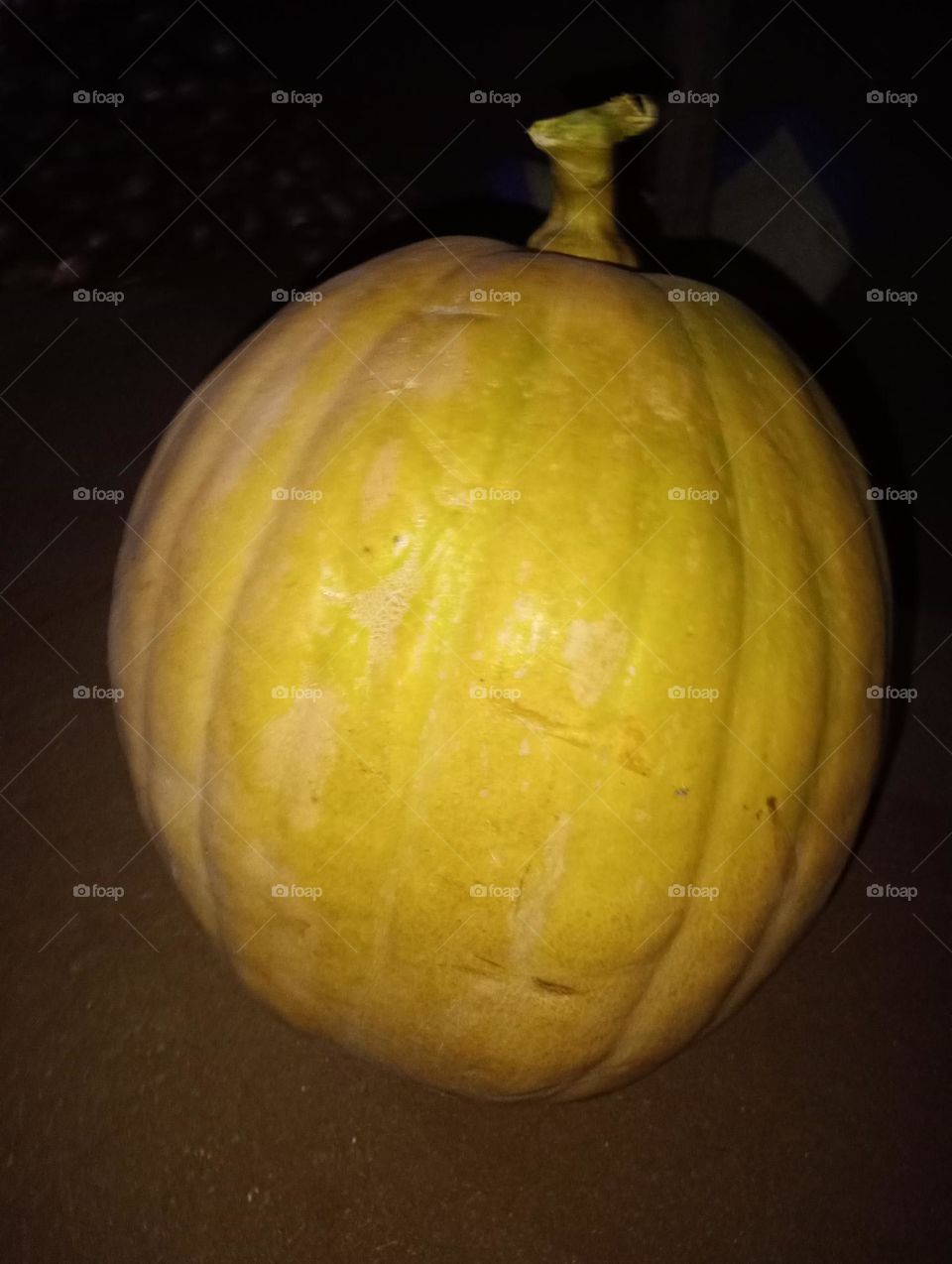 A pumpkin, from a botanist‘s perspective, is a fruit because it’s a product of the seed-bearing structure of flowering plants. Vegetables, on the other hand, are the edible portion of plants such as leaves, stems, roots, bullbs, flowers, and tubers.