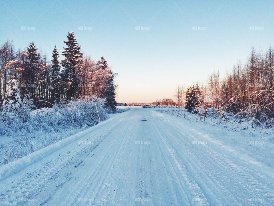 Winter, Snow, Frost, Cold, Frozen