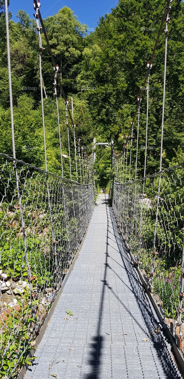 Bridge on the river