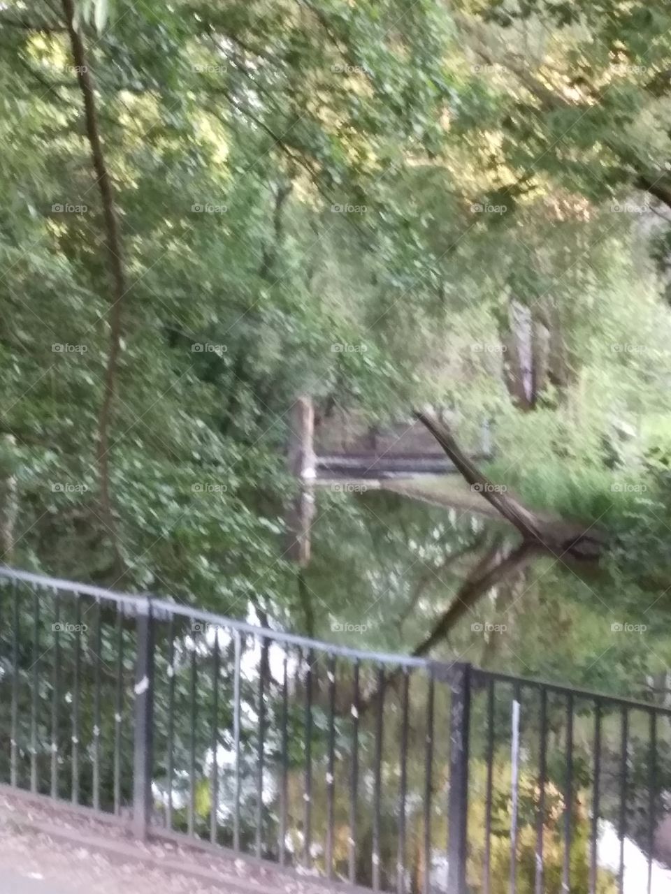 My beautiful hometown Oslo