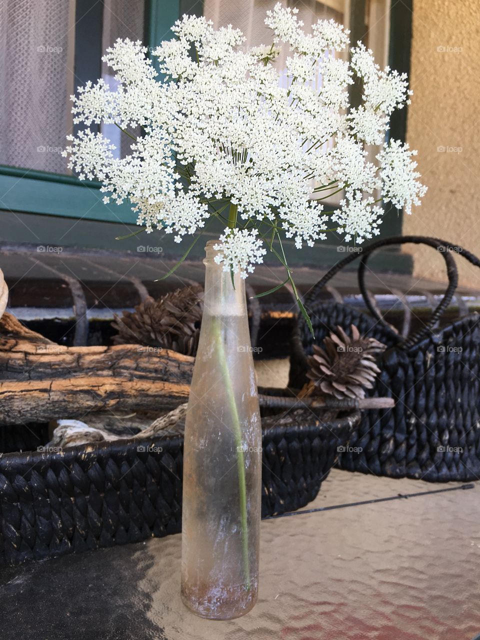 Spray of Queen Anne's lace in antique bottle on cottage porch table