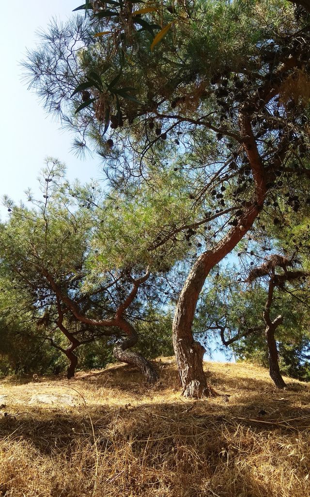 Athens