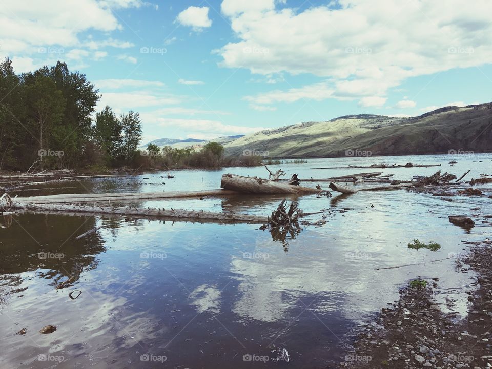 Calming water reflection 