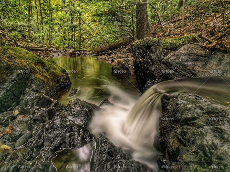 Forest cascades. A small waterfall roars to life after torrential rains. 