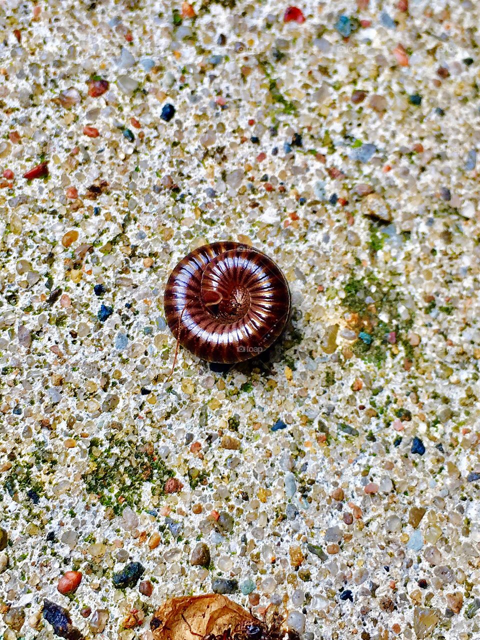 Captured with iPhone 6s Plus 