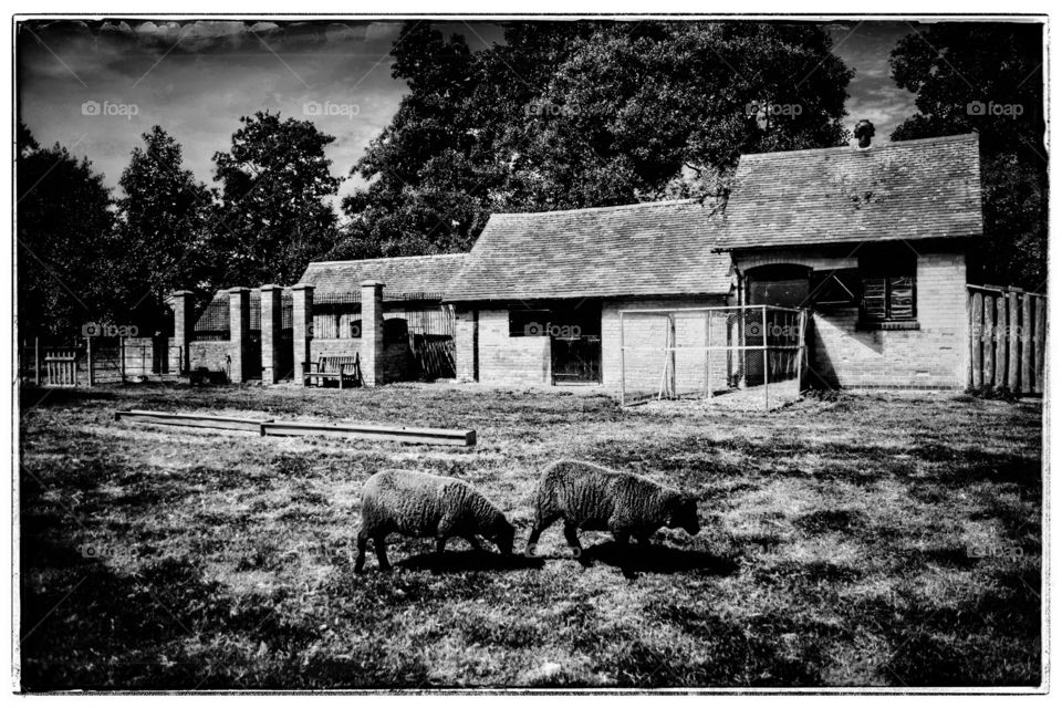 Home, Farmhouse, Barn, House, No Person