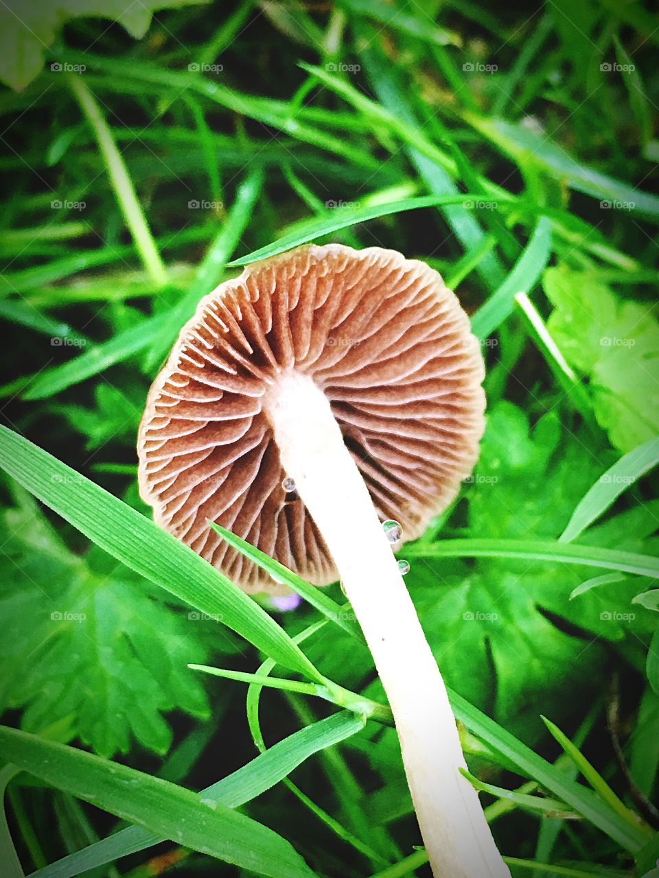 Captured with iPhone 6s Plus 