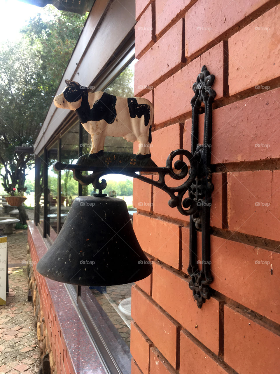 Diary farm cow clock