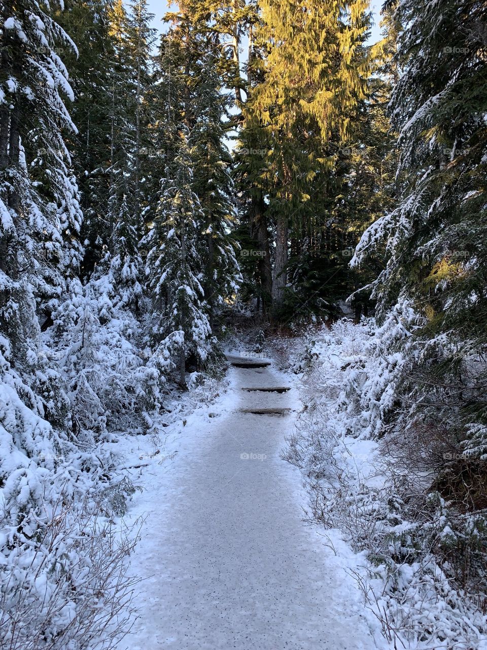 The most beautiful place ever