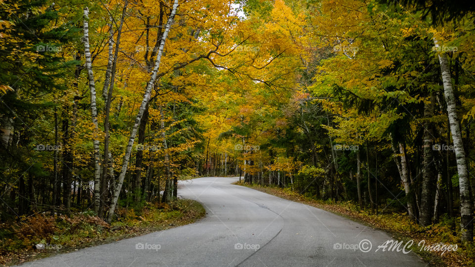 Winding road in Autumn in Potowatomi State Park 