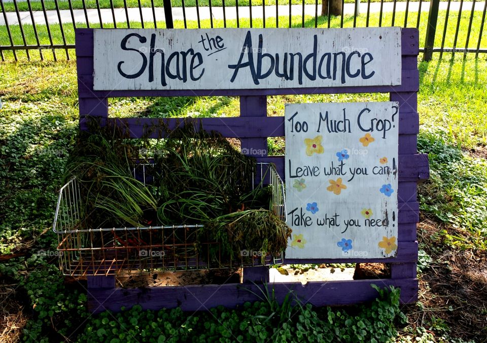 Share Abundance