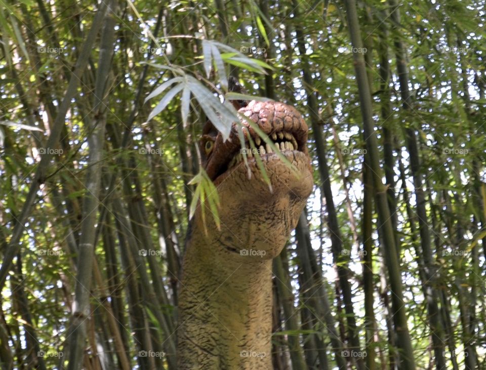 Head of dinosaur in bamboos at zoo