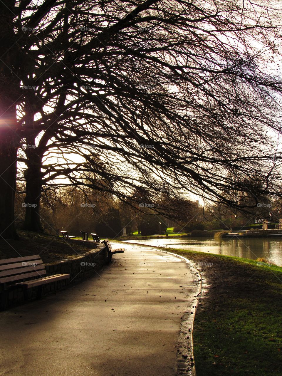 In the park