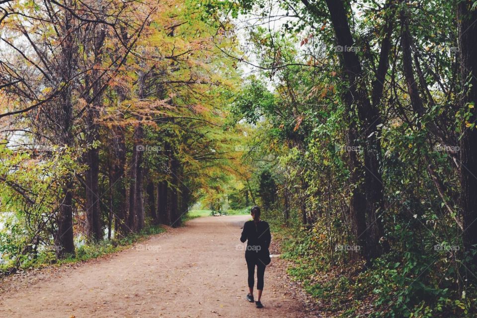 Forest hike