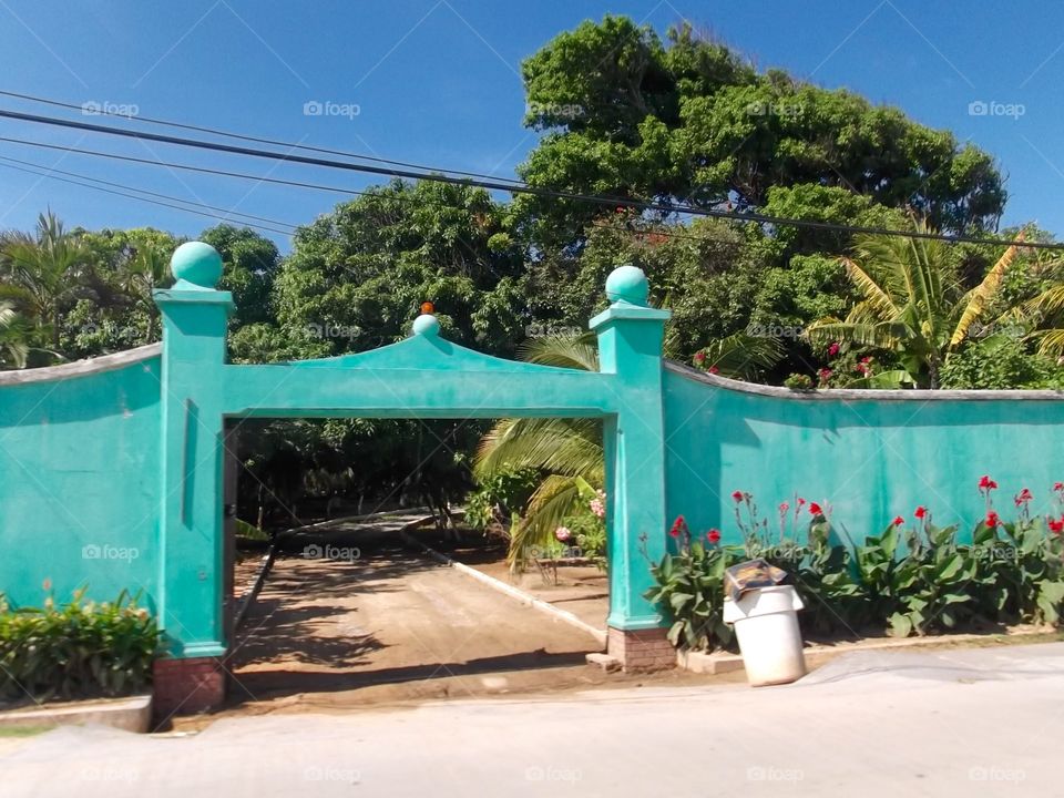 Photo from moving car traveling in Roatan, Honduras