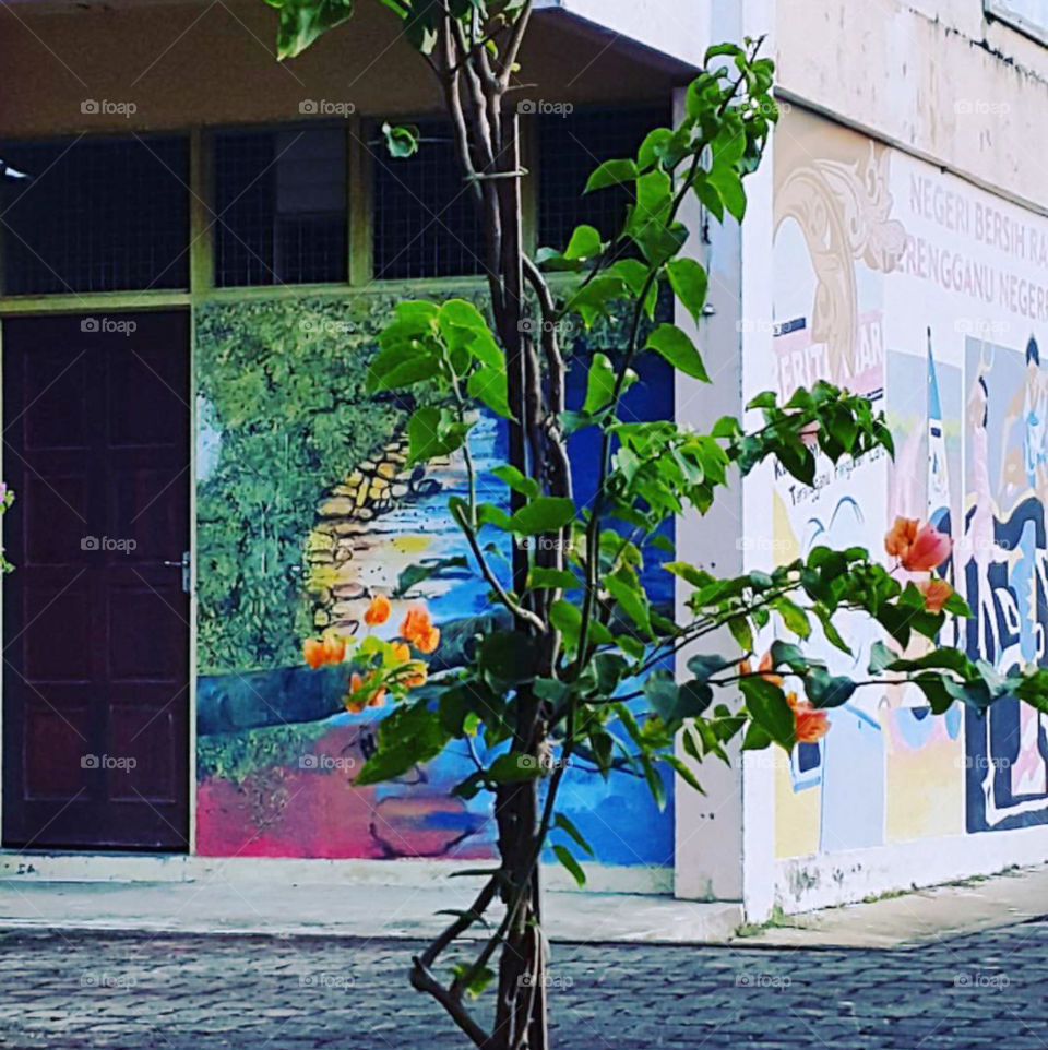 tree near the building edge