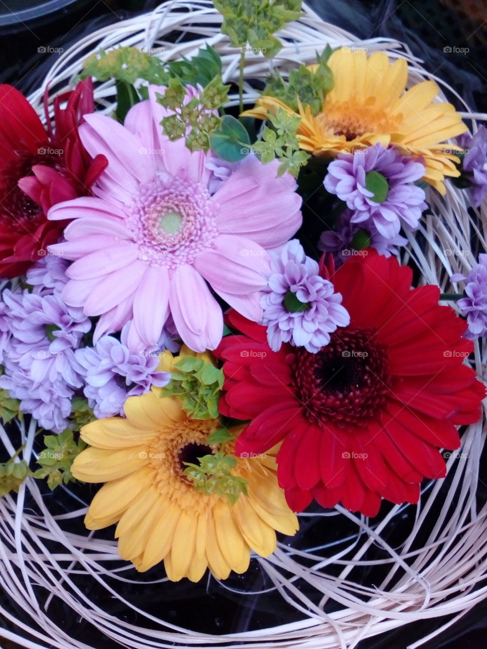 beautiful flowers in summer time and beautiful colors