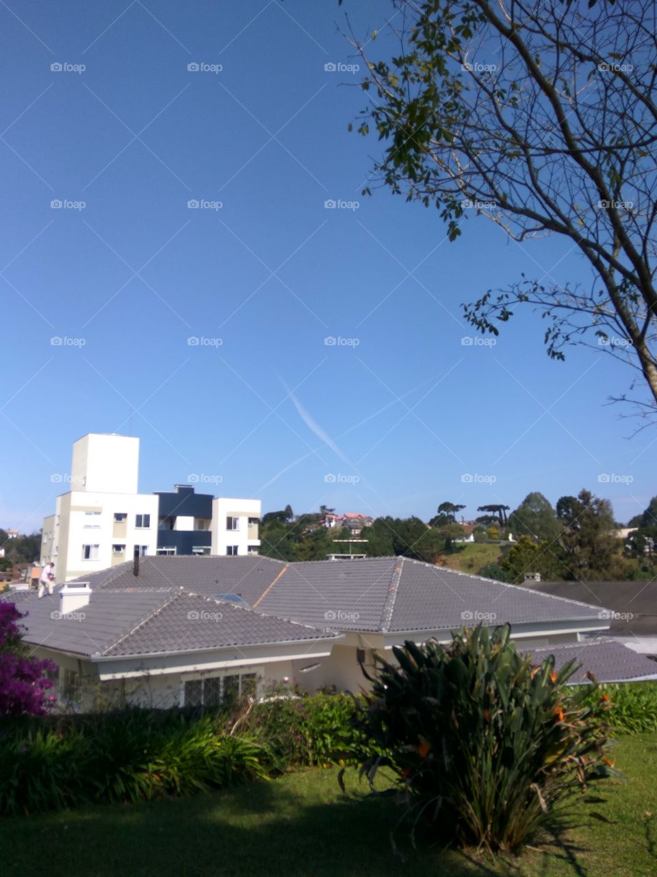 No Person, Architecture, Tree, Sky, House