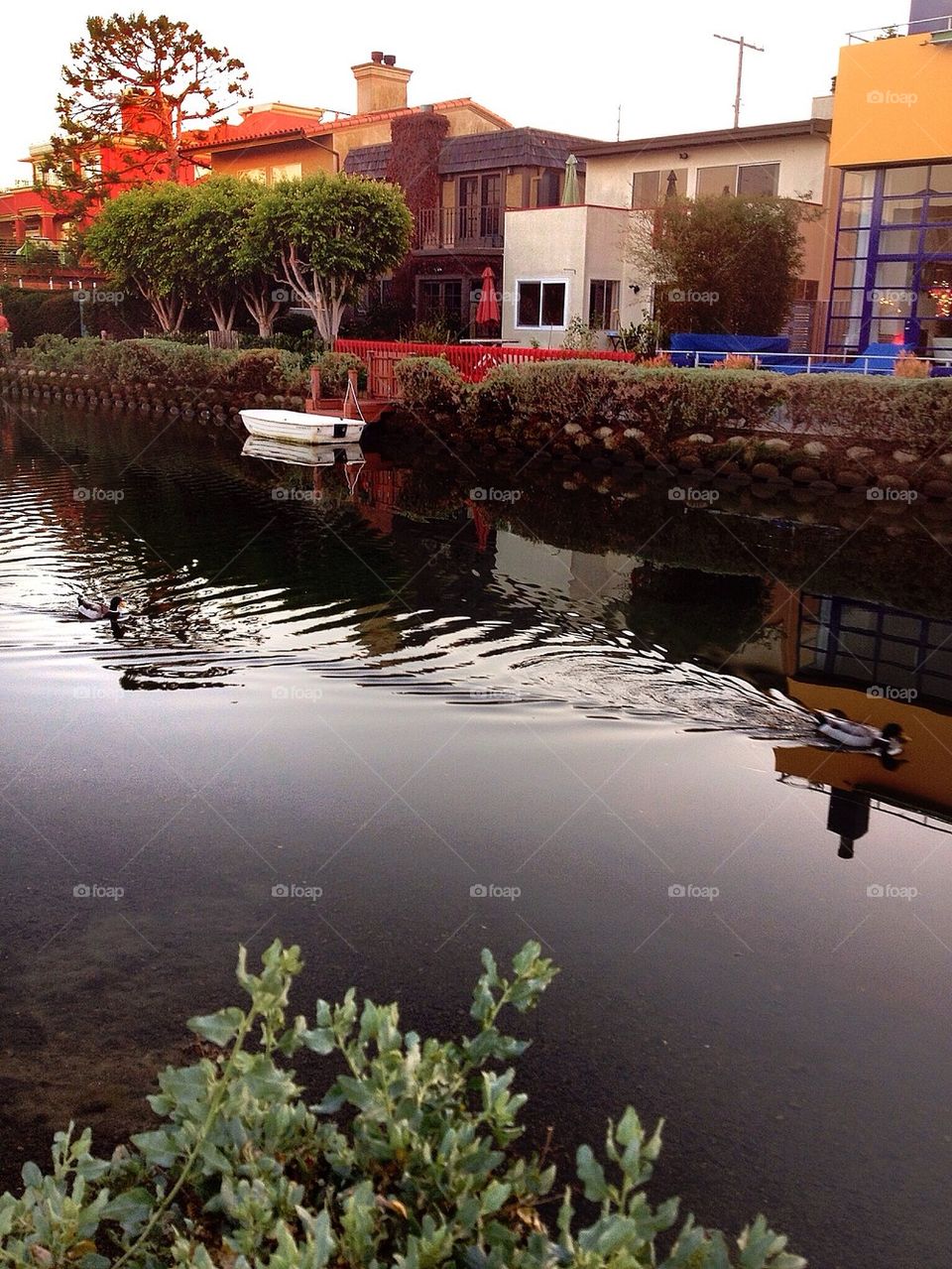 Venice canals