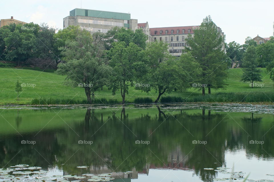 Pond on campus. Potter lake on KU campus