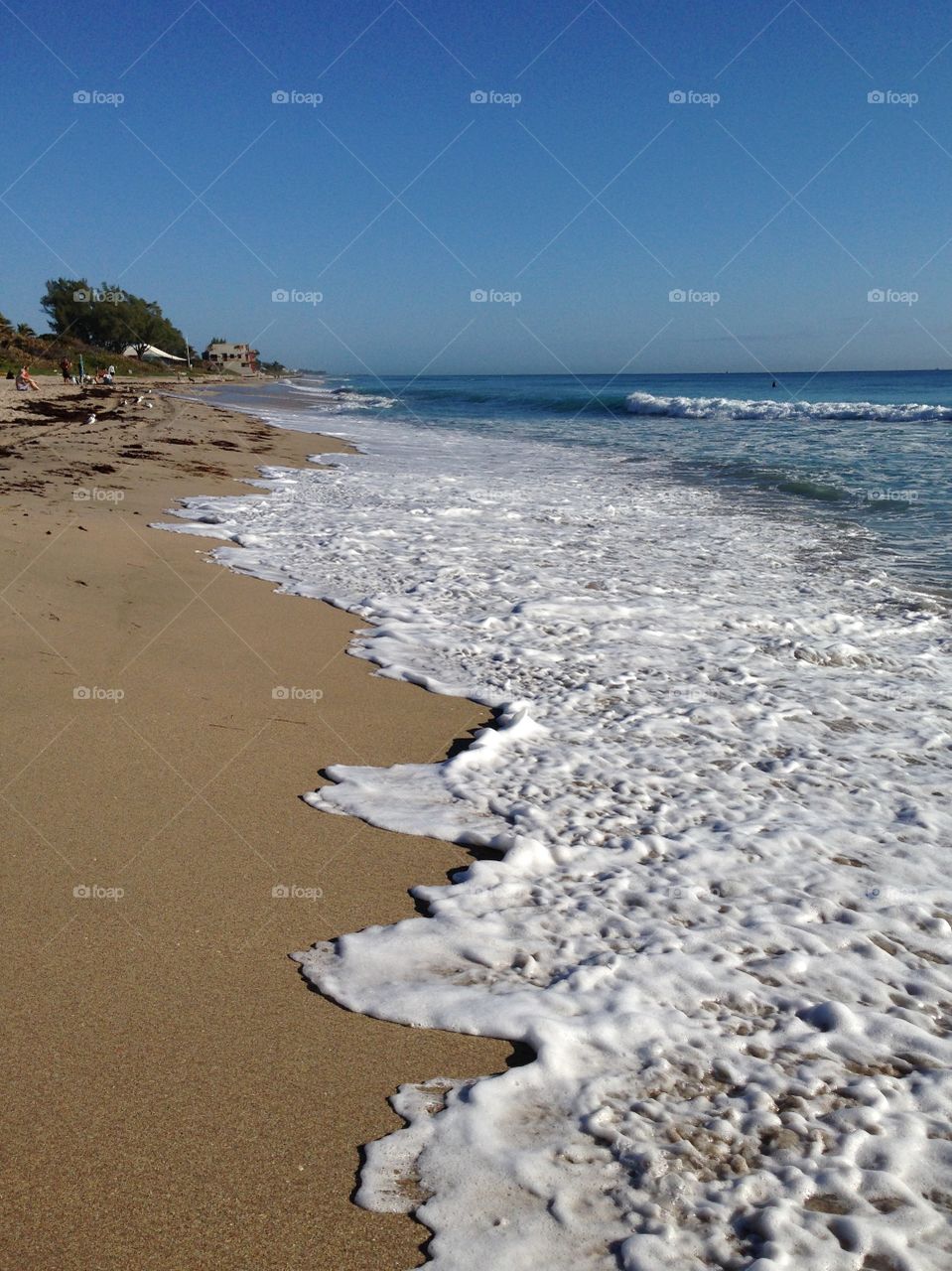 Gulf Stream Beach, Florida 