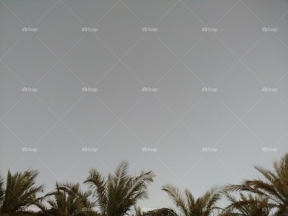 wonderful scene in the sahara