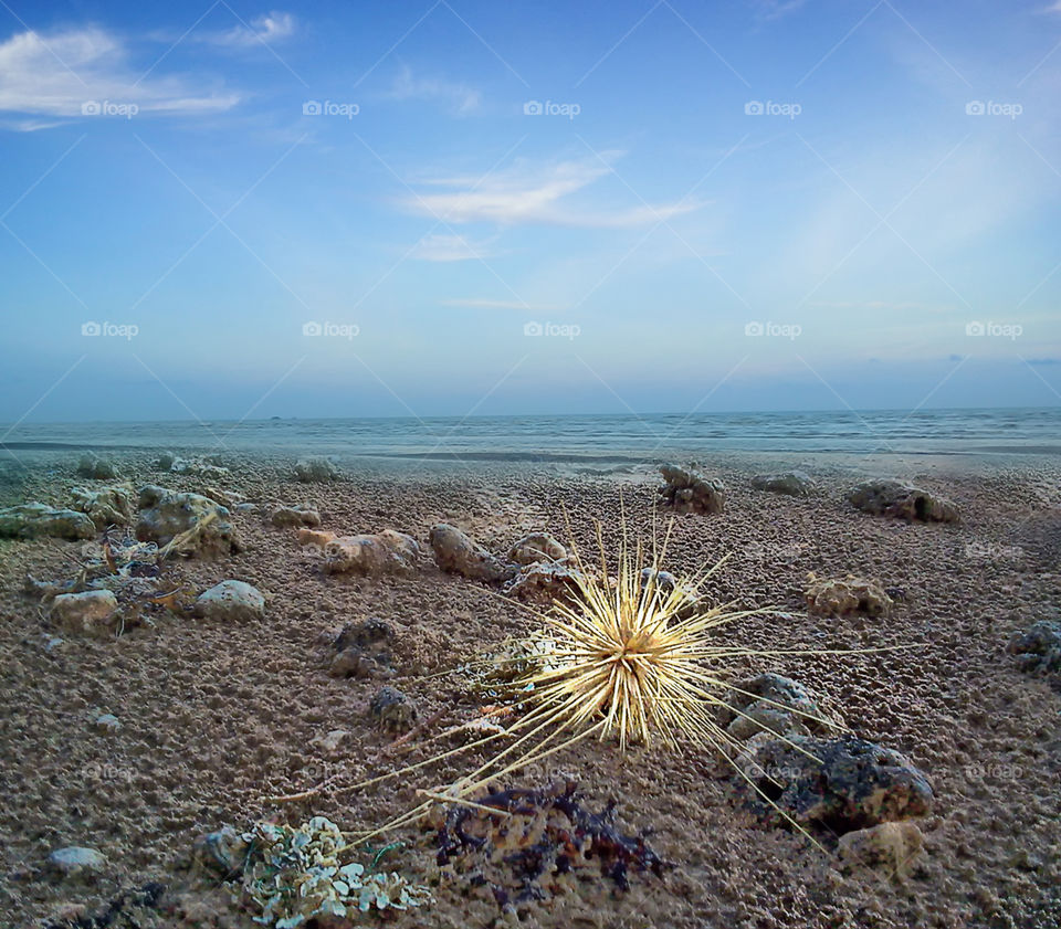 lamaru beach