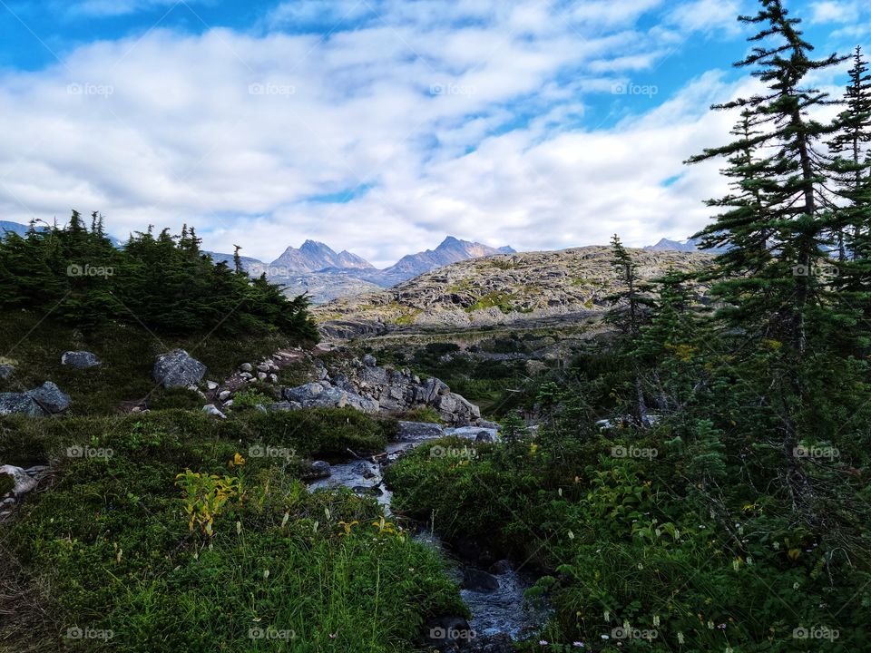 Following the river up the mountainside