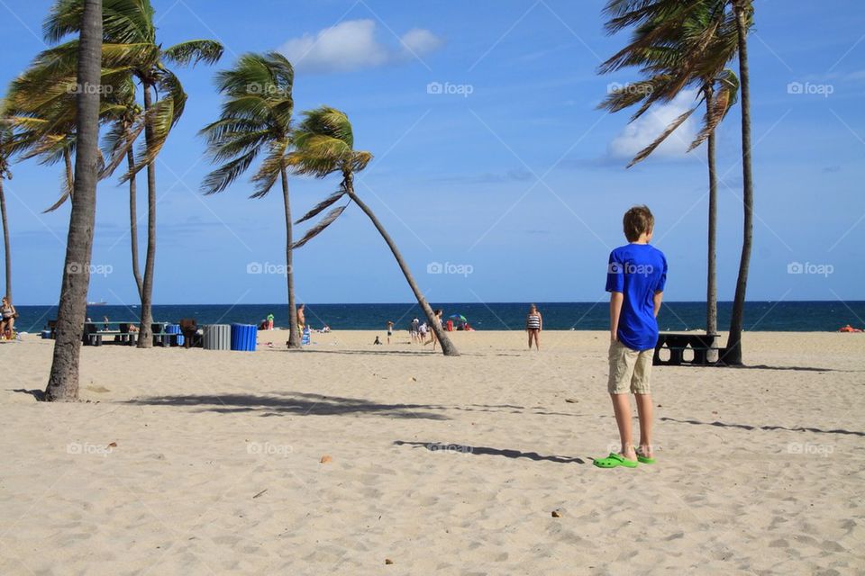 Turtle beach Fort Lauderdale