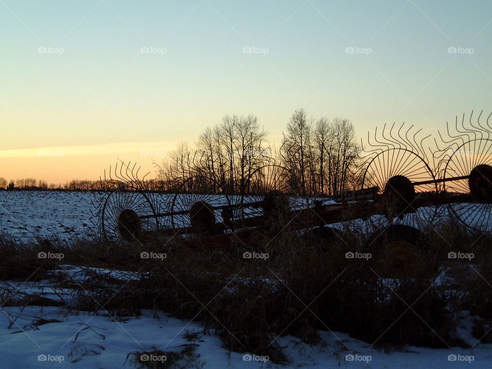 winter trees farm dusk by markworld