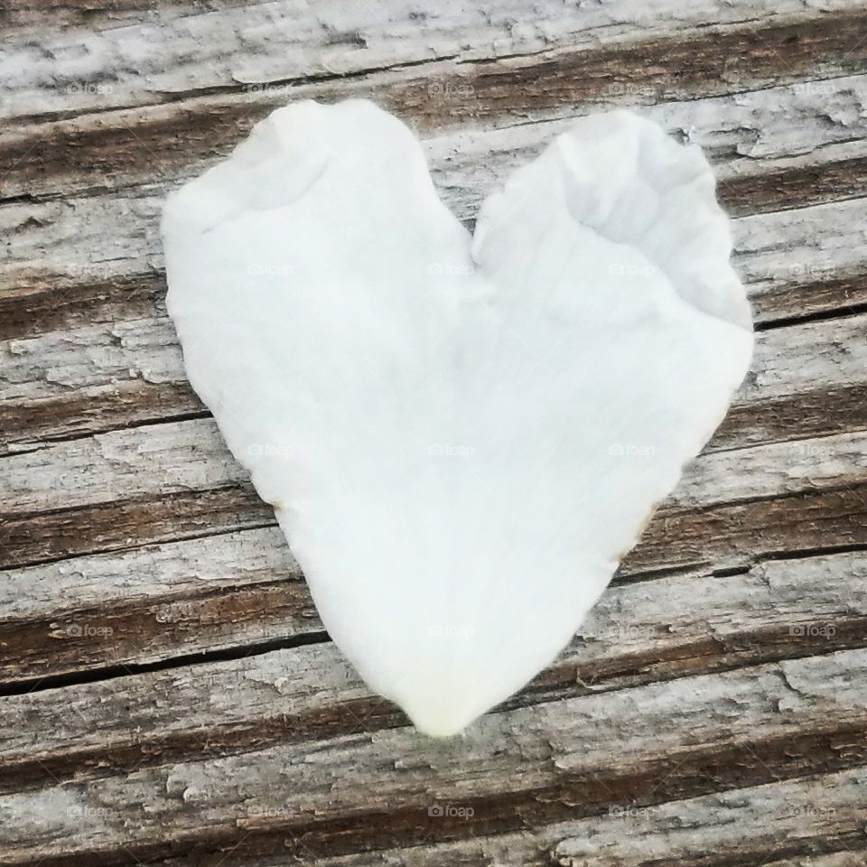 perfect heart-shaped flower petal