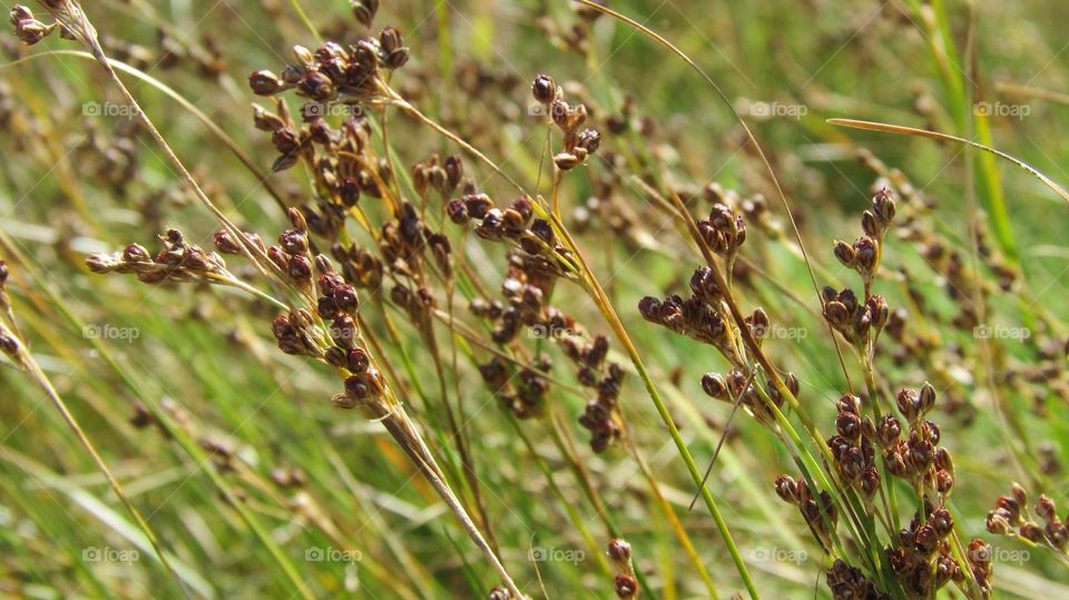 more from the beach:))