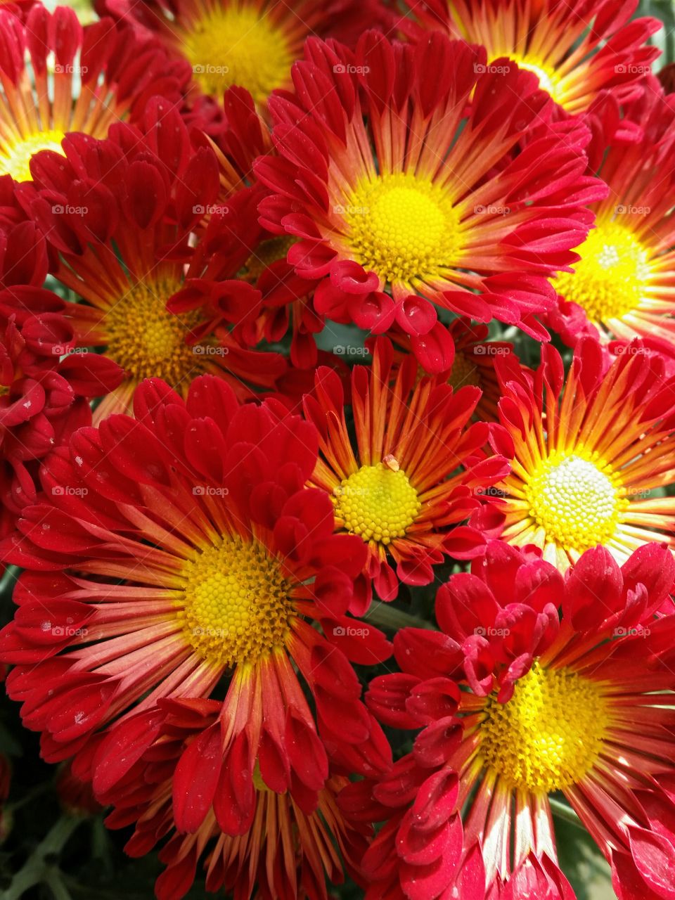 Natural beauty. God's beautiful creations