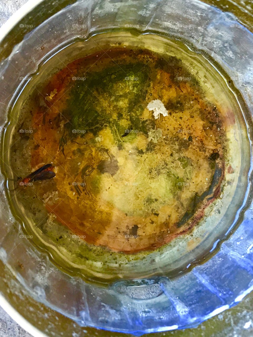 Floating bug in the reflection 