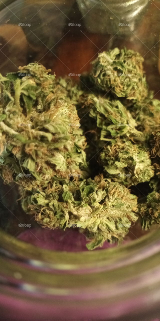 buds curing