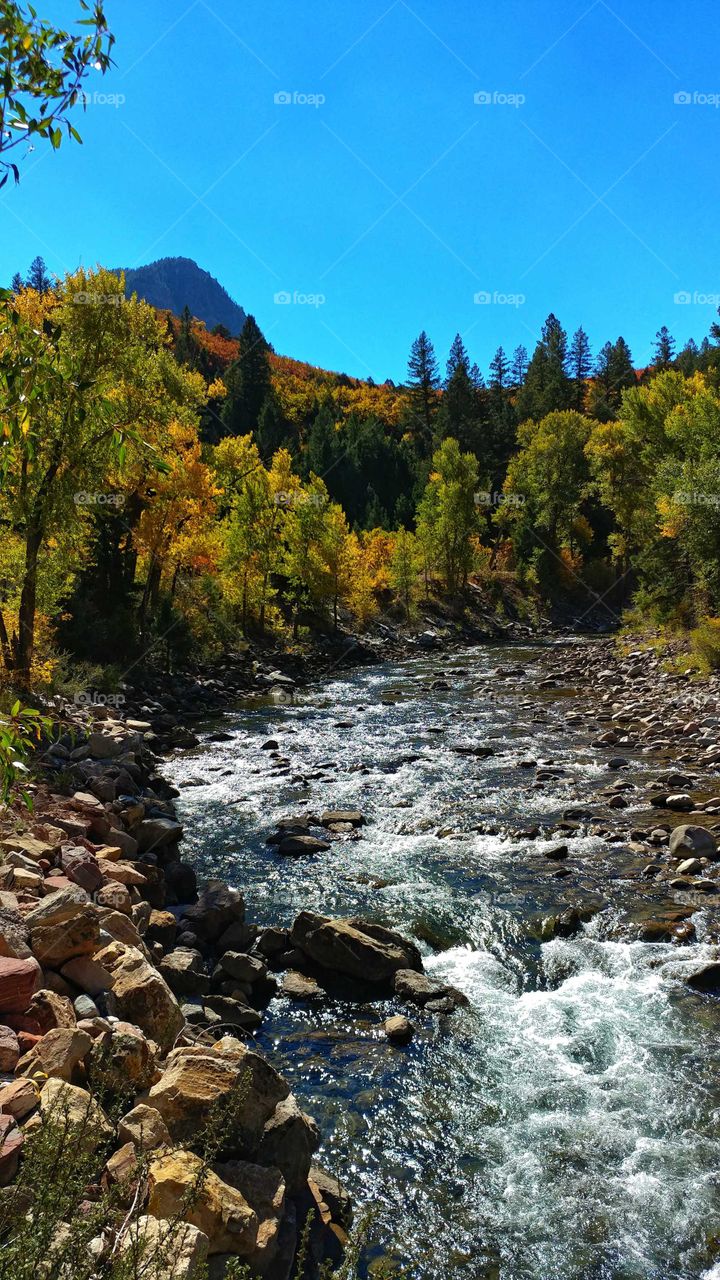 The Crystal River shimmers in the sun as it plumits down the valley on a beautiful Fall day.