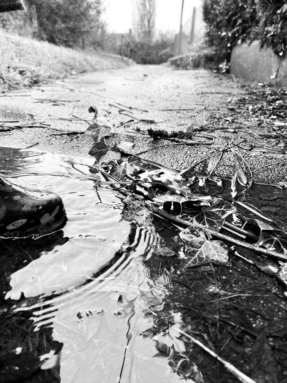 Who doesn’t enjoy a splash in the puddles!💦