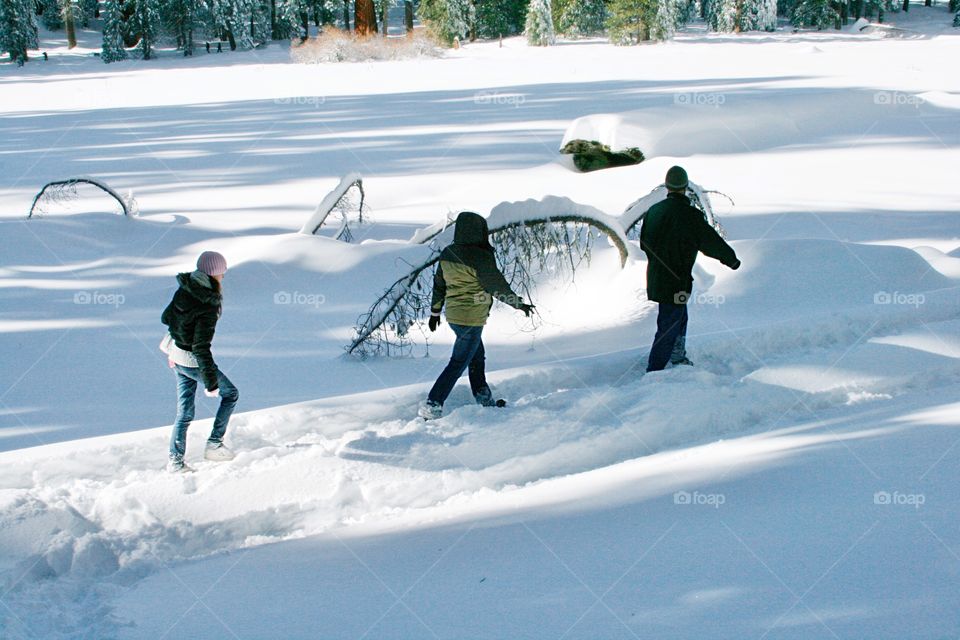 Winter trail 