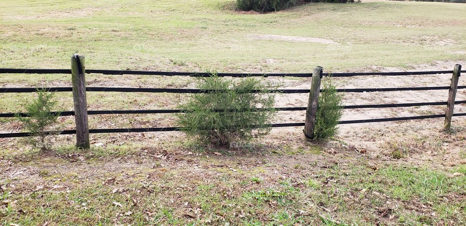 just a bit of decoration