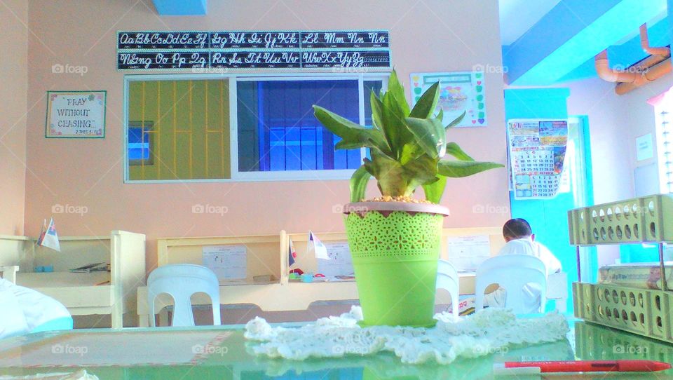 This photo is captured inside my classroom. The focus here is the plant, as a teacher, the plant represents my students. Everyday teacher teaches lessons to the students so that the students will learn something and grow full of knowledge to all.