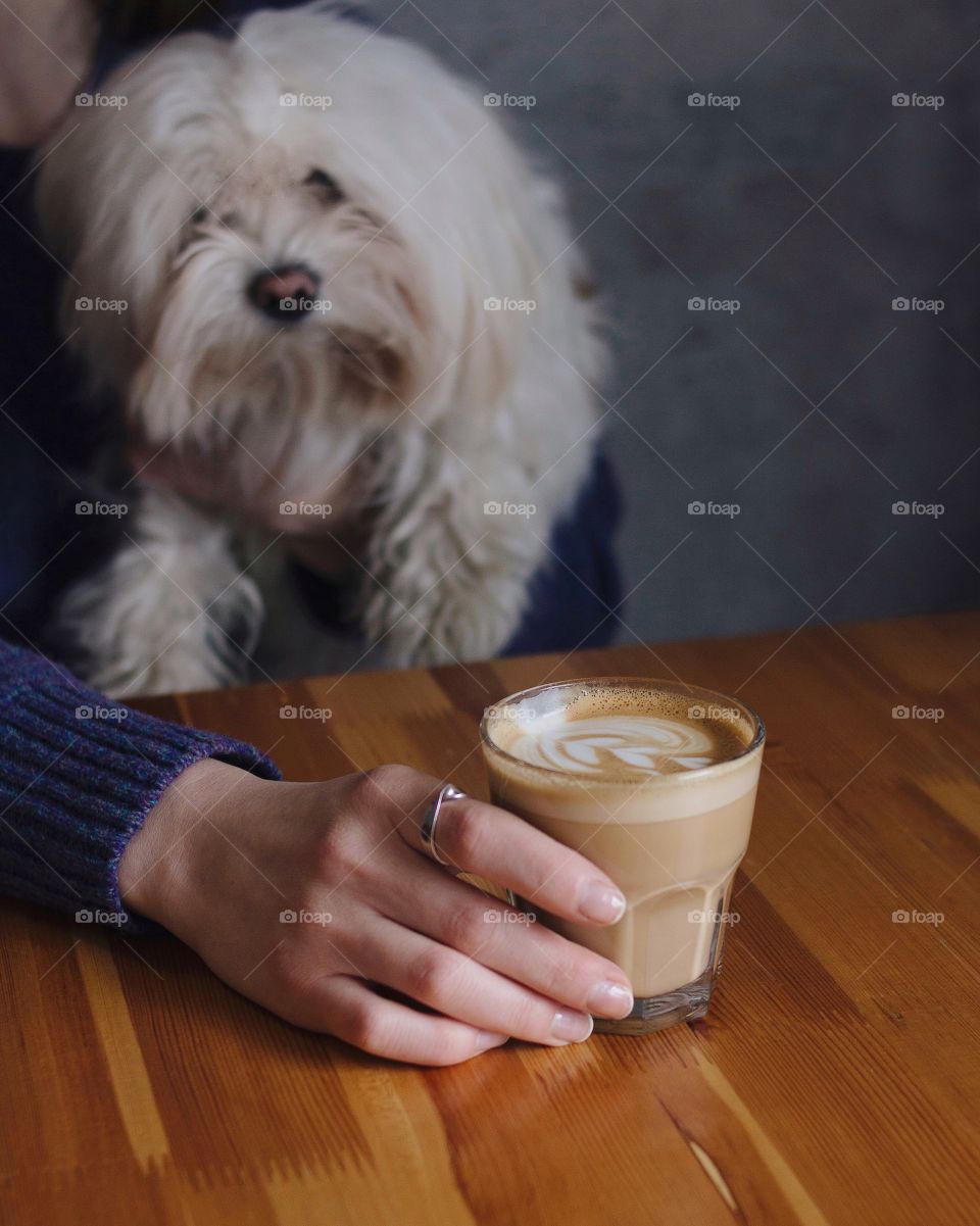 Coffee and cute dog