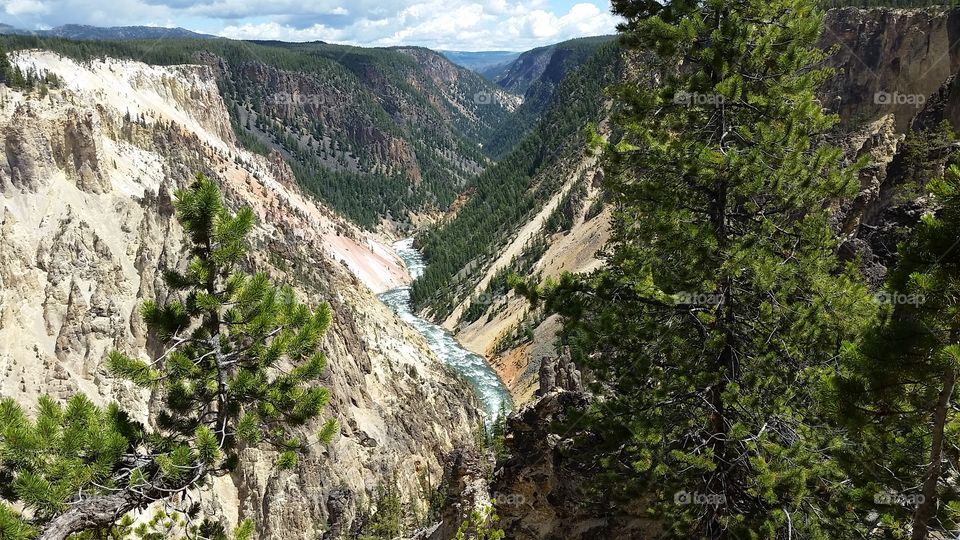 the Grand Canyon of Yellowstone