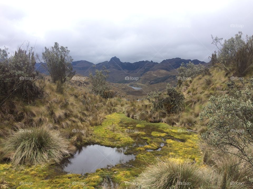 Parque nacional cajas 