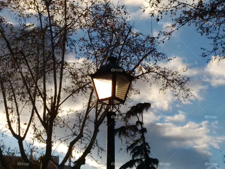 Sunlight in a lamp at a park