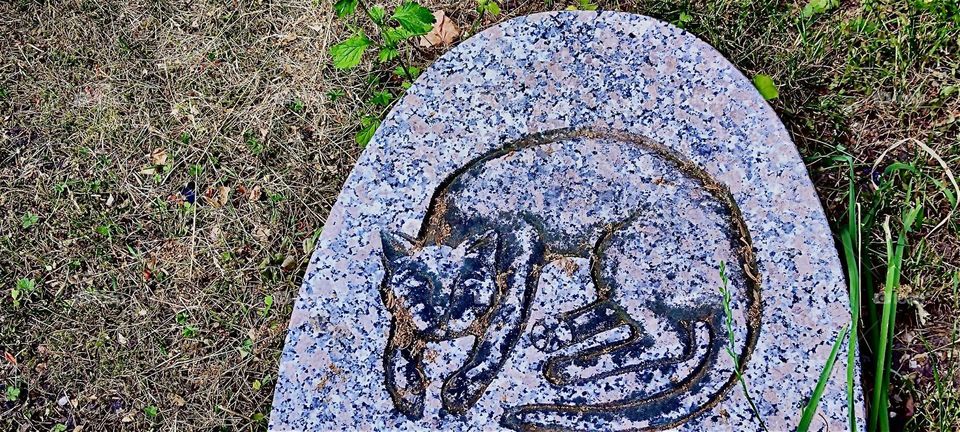 A cat‘s grave stone in the „Nordfriedhof“, the northern cemetery in „Munich“, Germany. The crouching feline is sculpted into the grey granite arched stone. 2023. Hypnotic Productions