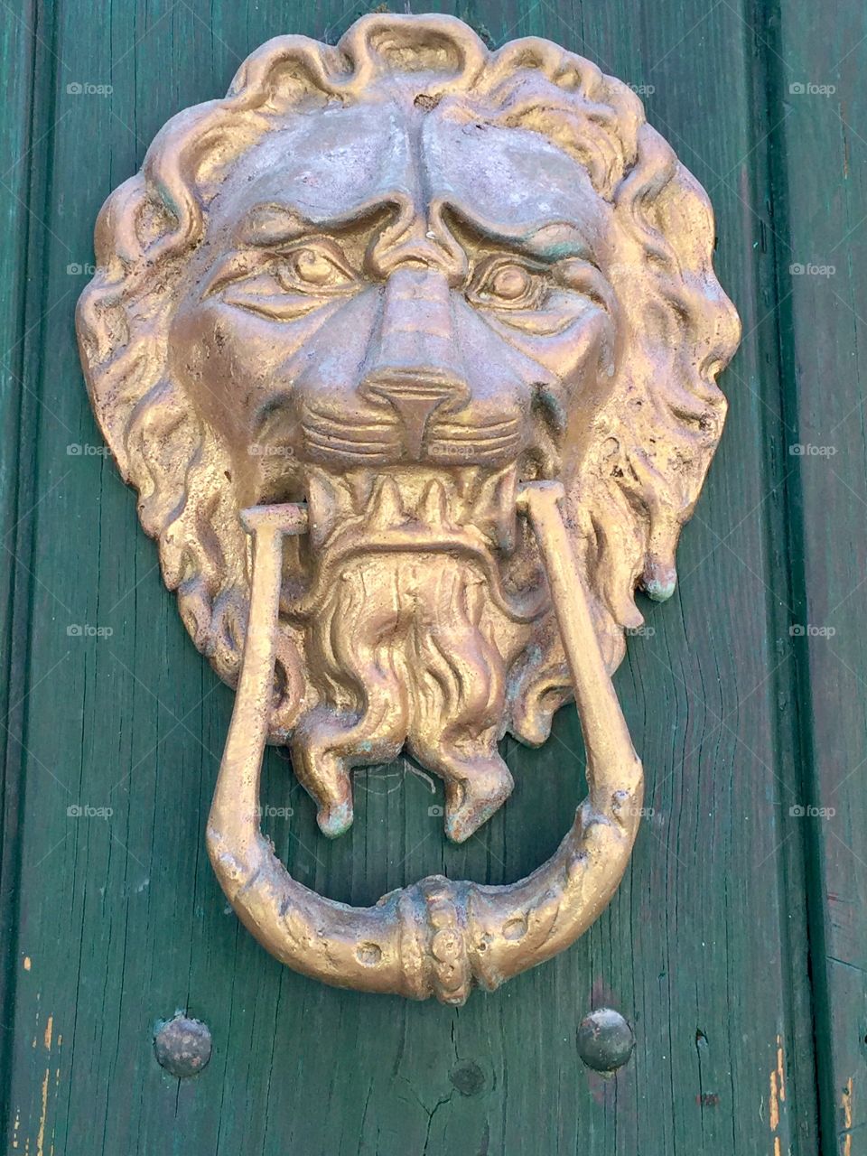 Lion brass door knocker

