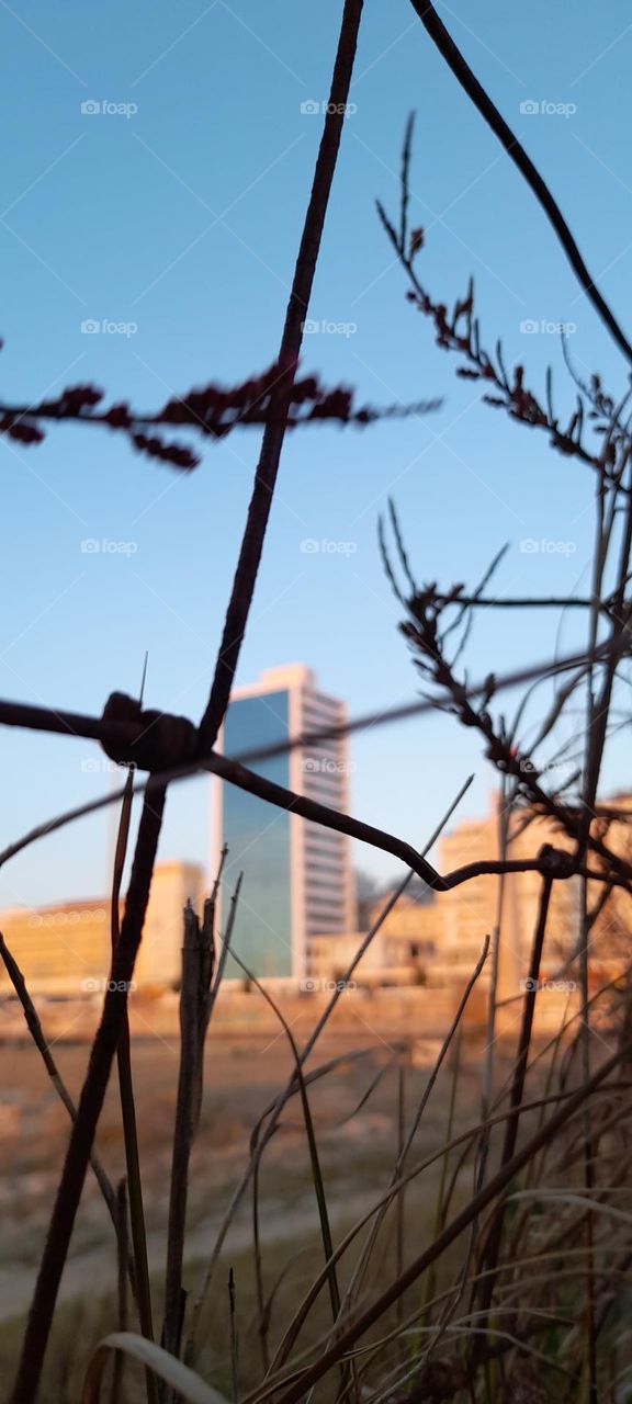 what's beyond the fence